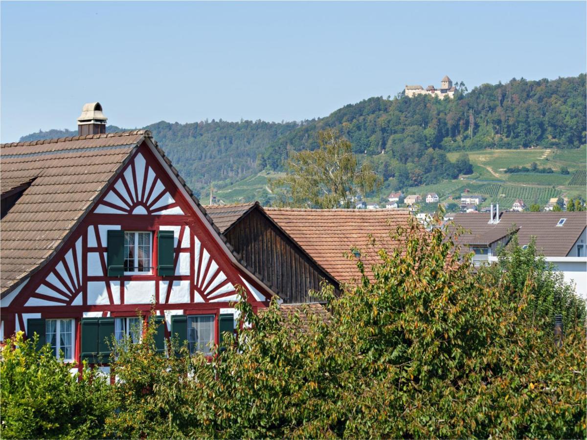 Exklusive 4.5 Zimmer Wohnung Fuer Familien Und Business Eschenz Exterior foto